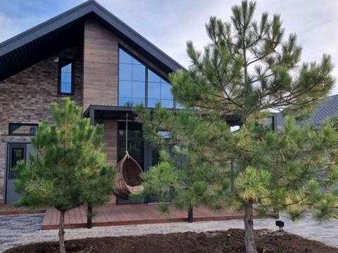 дом по адресу Петропавловская