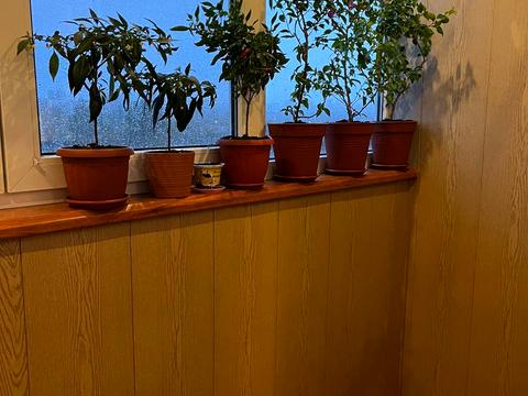 квартира за адресою Гвардійців-Широнінців вул., 59