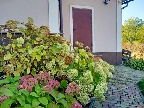 дом по адресу Тернова