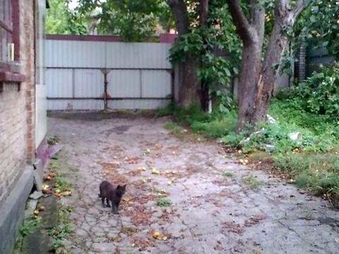 участок по адресу 