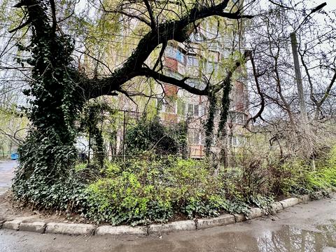 квартира по адресу Князя Владимира Великого просп., 126