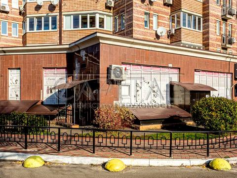 коммерческая по адресу Голосеевская ул., 13