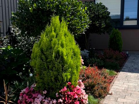 будинок за адресою Сторожниця