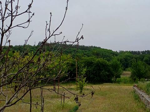 участок по адресу Богуслав, 