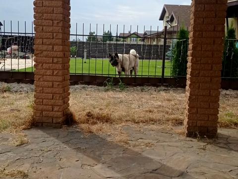 будинок за адресою с. Вишеньки, Вербицького