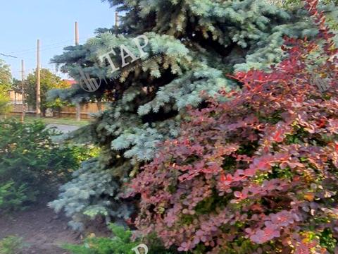 будинок за адресою Жихорська вул., 51