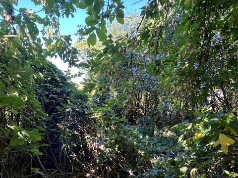 ділянка за адресою 