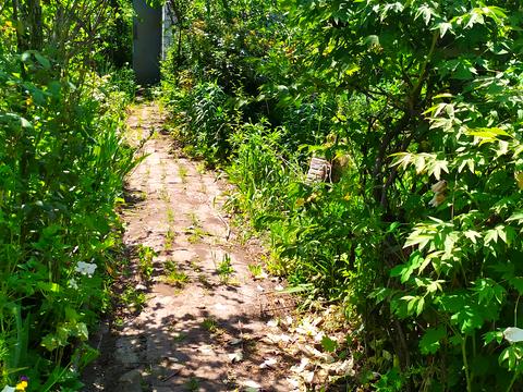 участок по адресу Чиковани, 474