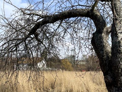 ділянка за адресою Чкалова, 101