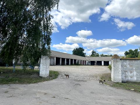 комерційна за адресою Миру, 48