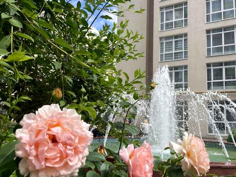 квартира по адресу Академіка Шалімова ул., 69-Б