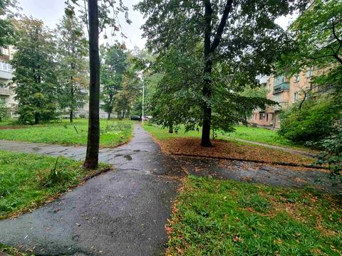 квартира по адресу Ольжича ул., 9-А