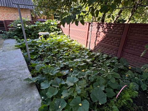 будинок за адресою Харківська вул.