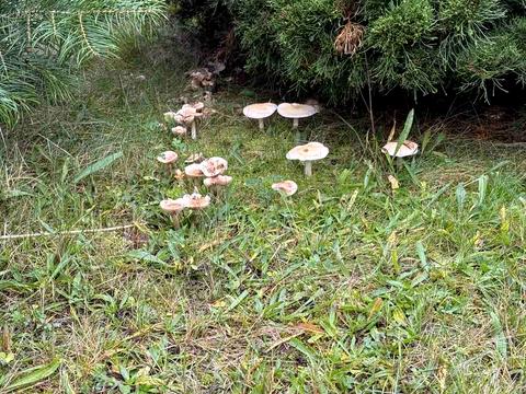 будинок за адресою Хутірська вул. (Жовтнева), 12