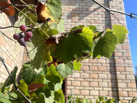 дом по адресу Л.Українки, 14