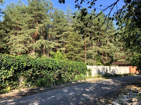 ділянка за адресою с. Орлівщина, провулок Озерний