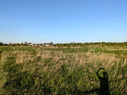 ділянка за адресою с. Підлісся, урочище Ланова