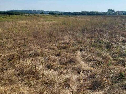 участок по адресу Бочальська