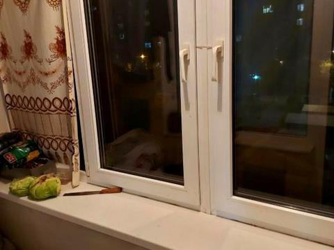 квартира за адресою Князя Володимира Великого просп., 69