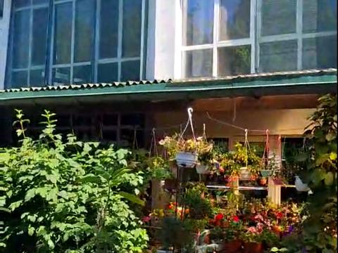 будинок за адресою Вишнева вул.