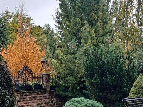 комерційна за адресою Лисогірська вул., 6