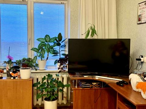 квартира по адресу Лесковская ул., 28-А