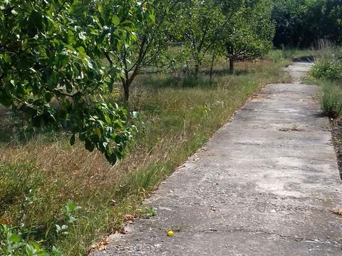 ділянка за адресою Вільне