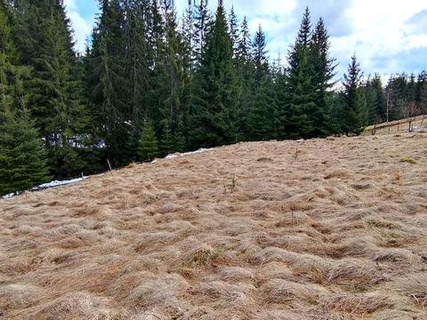 участок по адресу Село