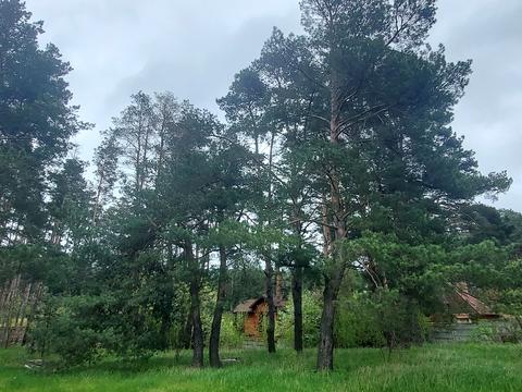 участок по адресу СТ Олімп