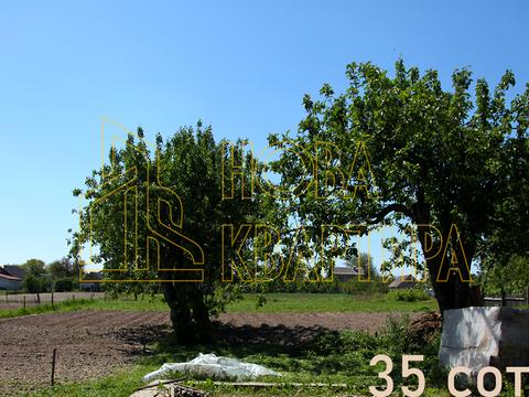 ділянка за адресою Садова, 35