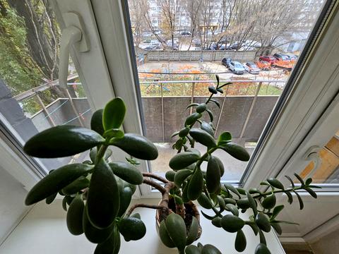 квартира за адресою Казарменна вул. (Григорія Андрющенка), 4-Б