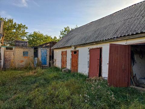 квартира за адресою миру, 84