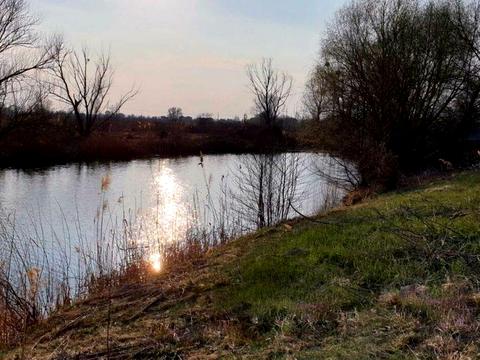 ділянка за адресою Наталії Кобринської