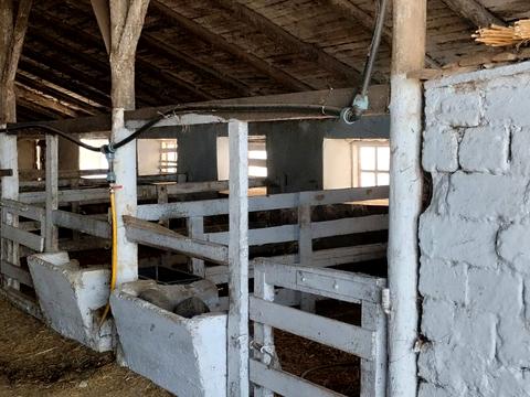 коммерческая по адресу Белгород-Днестровский, Белгород ул., 1