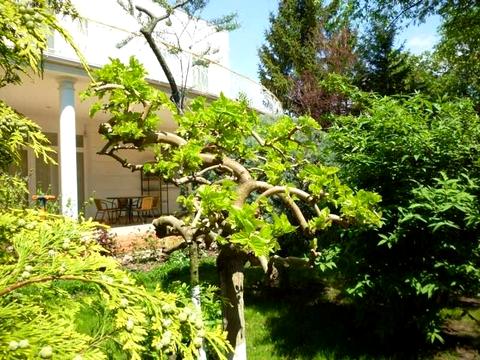 будинок за адресою Одеса, Костанді вул.