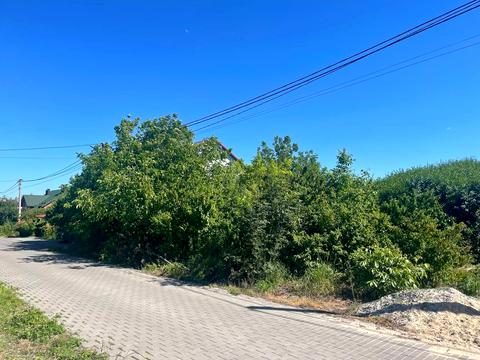 ділянка за адресою Місячна вул., 19