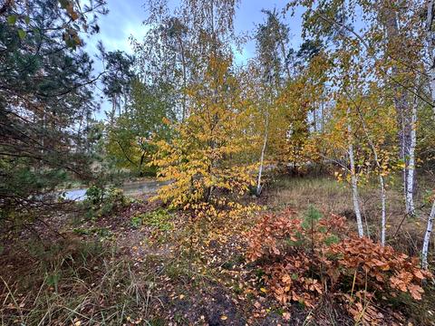 ділянка за адресою 11-та Лінія вул.