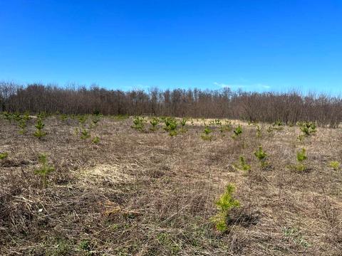 участок по адресу 