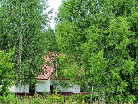 будинок за адресою Лайнер