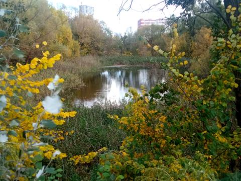 квартира за адресою Володимира Брожка вул. (Кіровоградська), 70