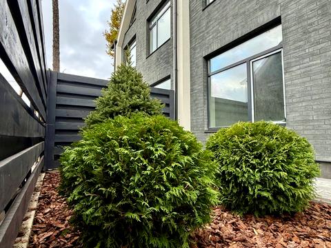 будинок за адресою Антонія Михайловського вул.