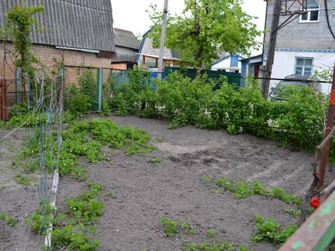 дом по адресу Гагарина