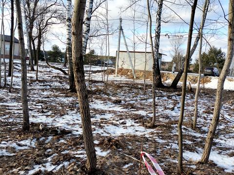 ділянка за адресою кричевського