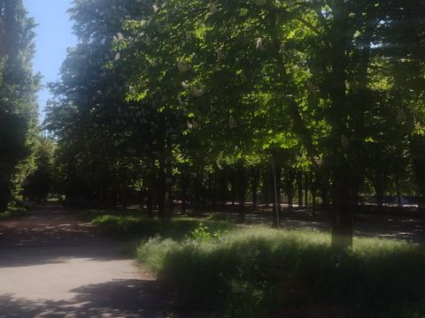 квартира по адресу Степана Тильгы ул. (Революційна), 19