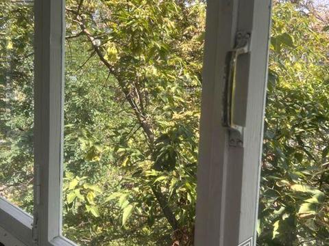 квартира по адресу Михаила Донца ул., 11