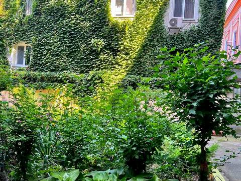 квартира за адресою Одеса, Італійська вул. (Пушкінська), 21