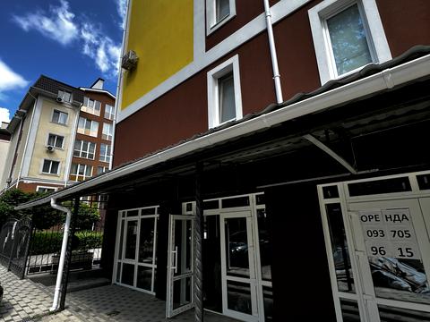 коммерческая по адресу Василя Стуса ул. (Пушкинская), 62л