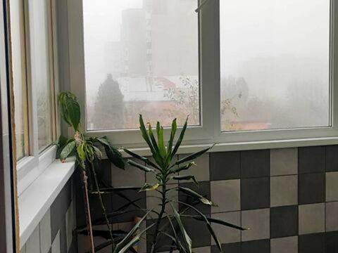 квартира по адресу Скорини ул., 44