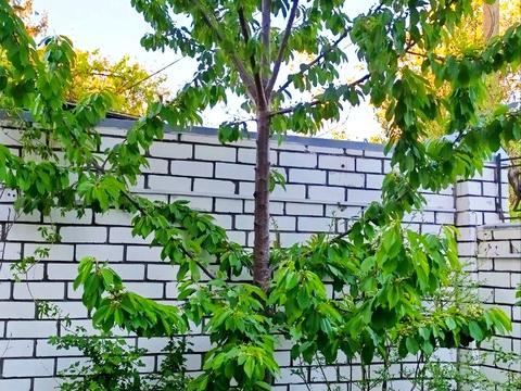 будинок за адресою Лабораторна вул., 16