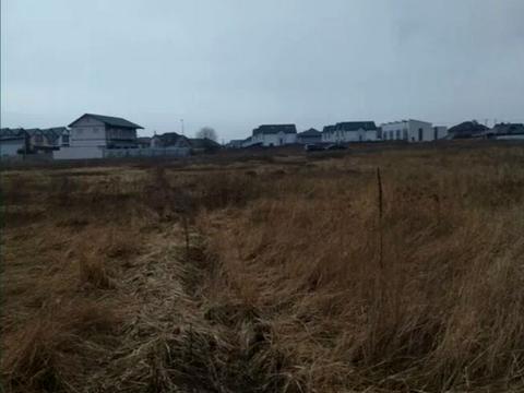 участок по адресу Софіївсько-Борщагівська сільська рада